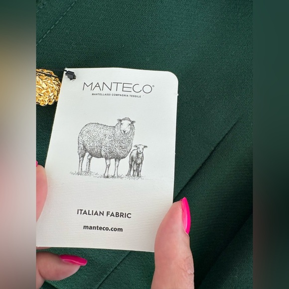 ZARA Manteco Wool Coat — Moss Green — Gold Buttons — Size M — NWT - Picture 15 of 16